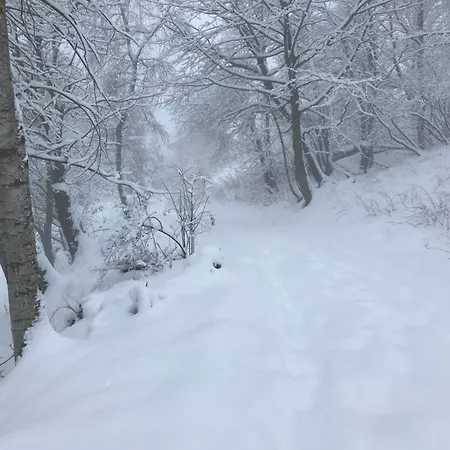 Pian Mune Casa In Affitto Paesana